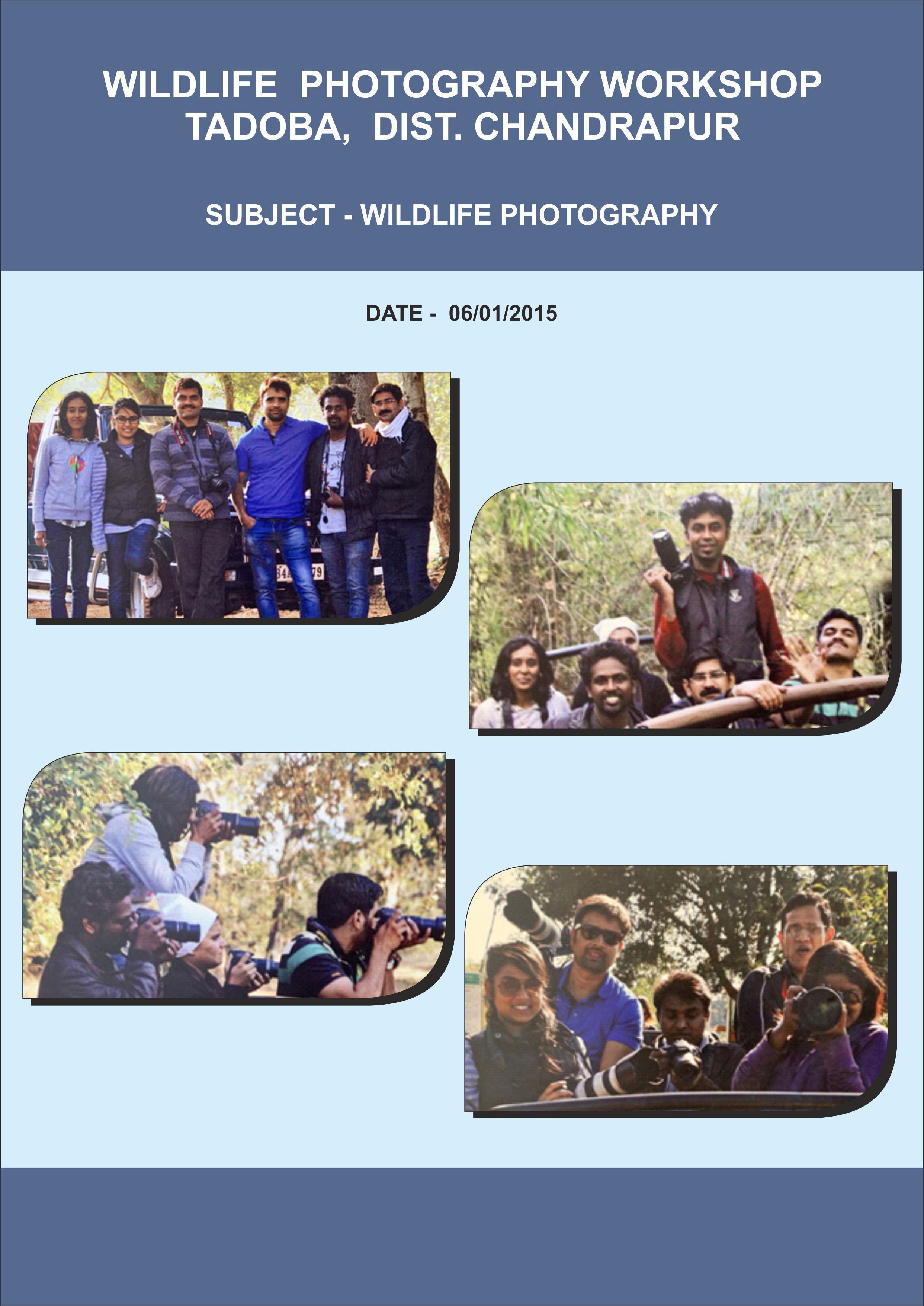 photo of fine arts 04